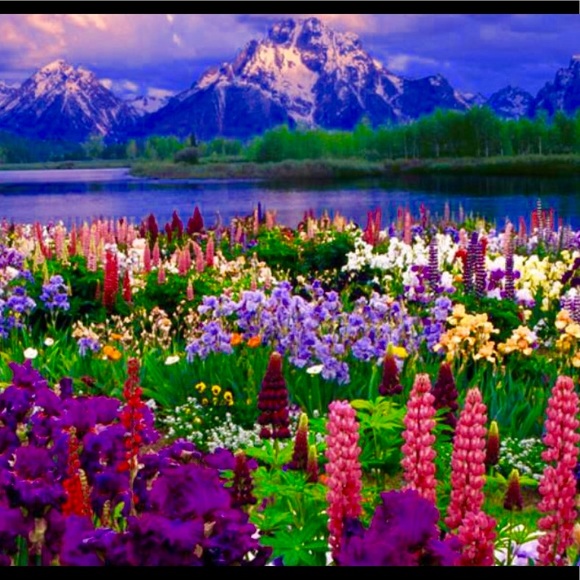 Meet your Posher, Summer - Picture 1 of 1